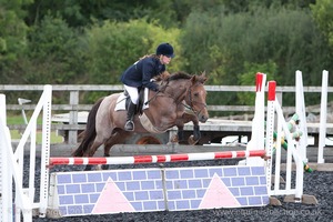 Class 6 - Fences not above 2'9